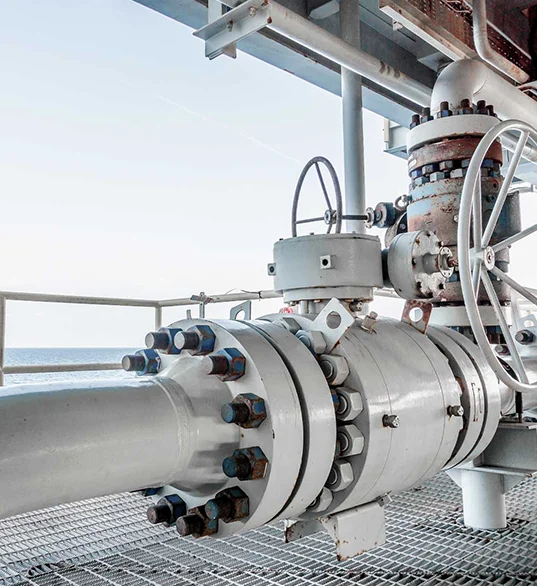 Pumps and Valves